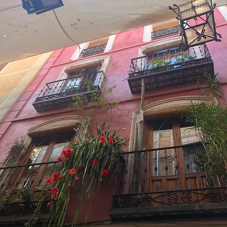 El Encanto De Alfileritos Apartment