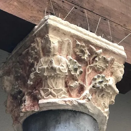 El Encanto De Alfileritos